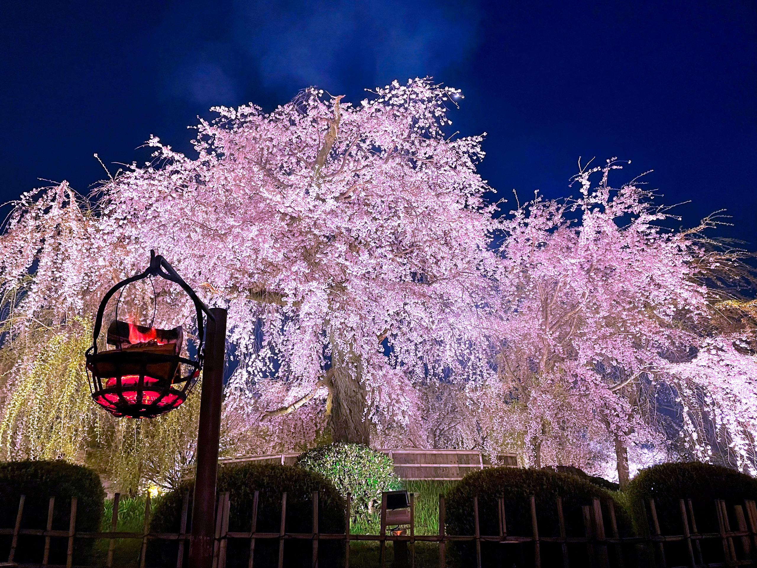 八坂神社
